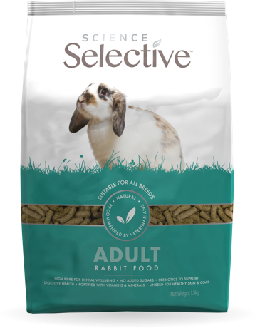 science-selective-adult-rabbit-front