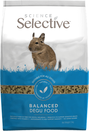 ss-degu-food-front