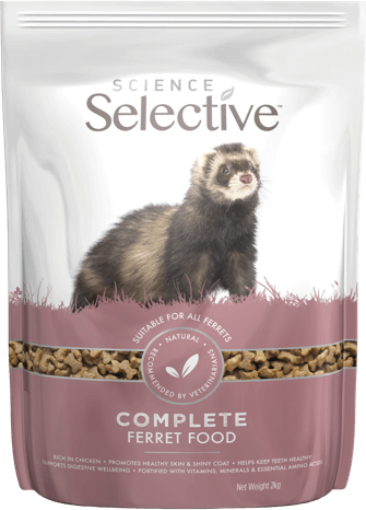ss-ferret-food-front