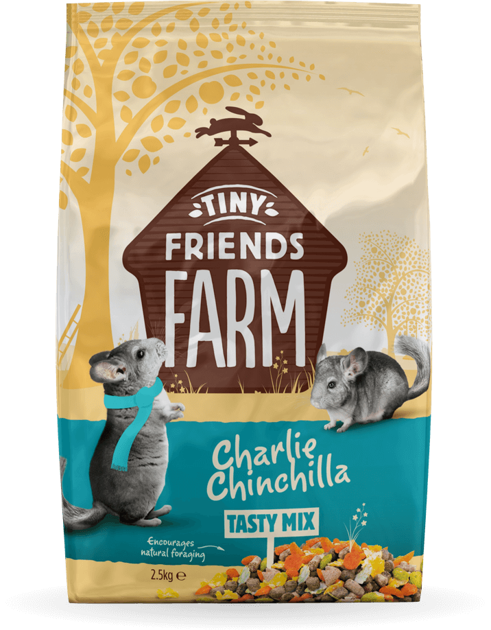 tff-charlie-chinchilla-front