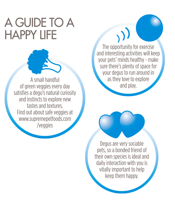 DEgus-Happy-Guide