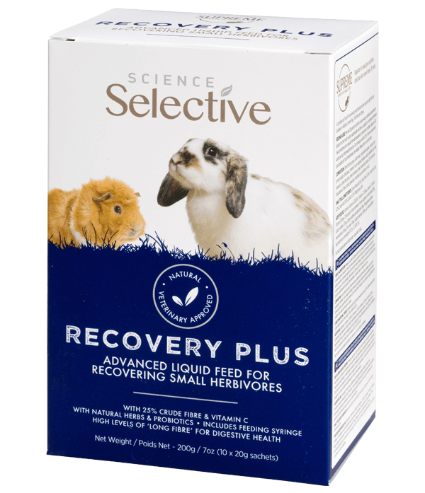 Recovery-Plus-Side