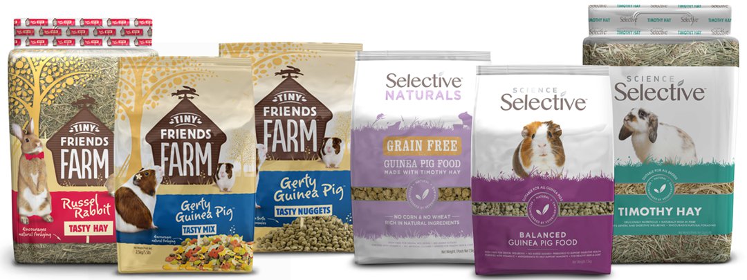 guinea pig food