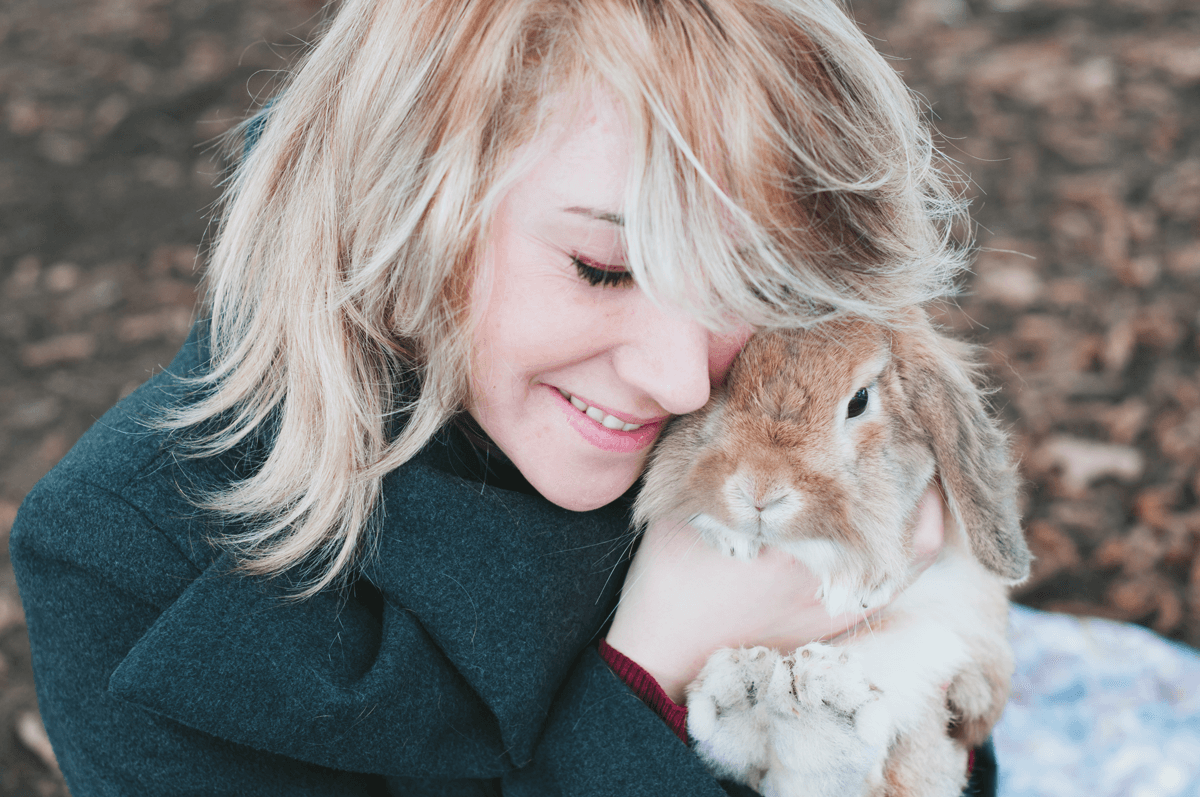 rabbit